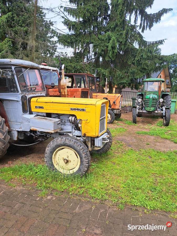Sprzedam ursus 4011 Ocice