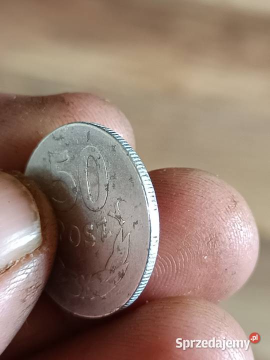 Sprzedam monete 50 groszy 1965 nnnn Chełm sprzedam