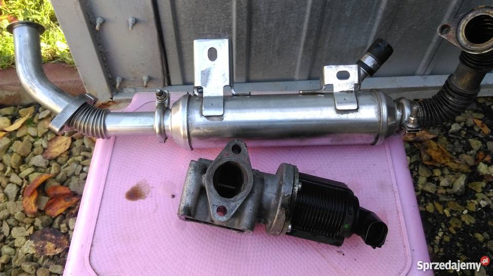 Zawor egr zafira b 19cdti 150 osobowe