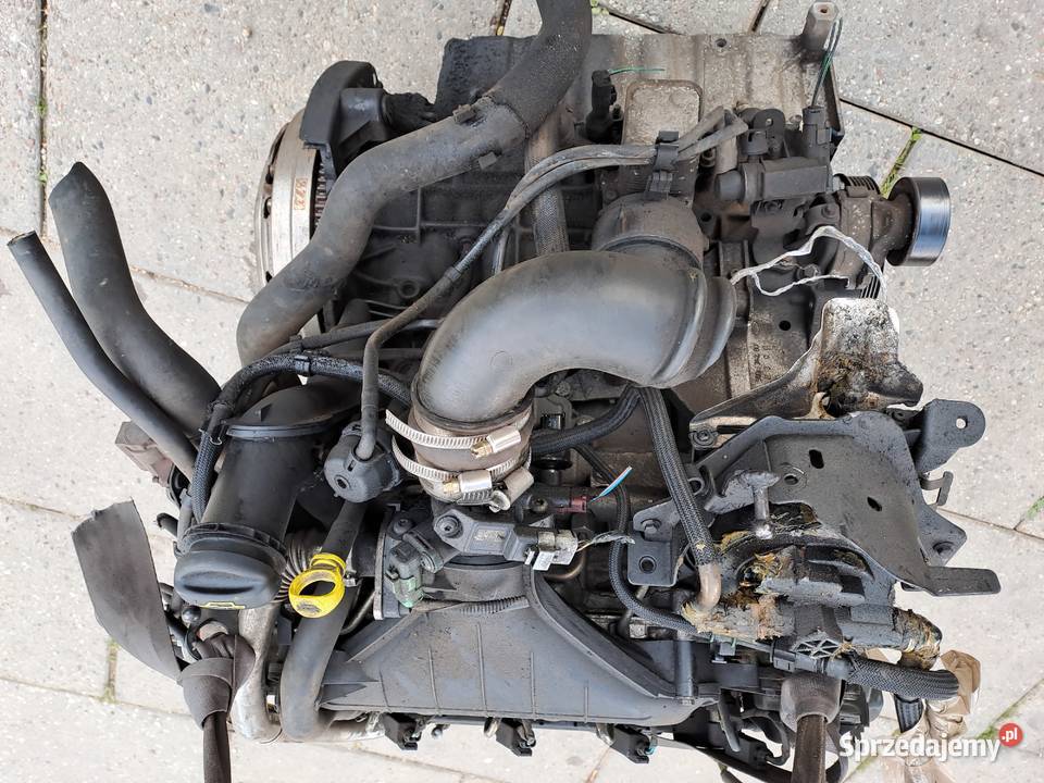 Ford Fokus C Kuga 20 TDCi silnik kompletny G6DA osobowe sprzedam