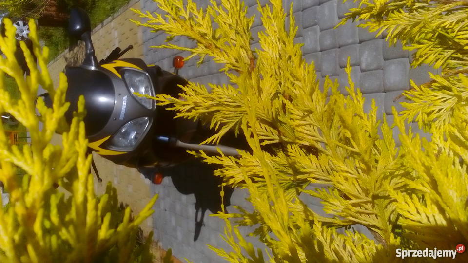 Honda nsr 125 duża moc Sulicice sprzedam
