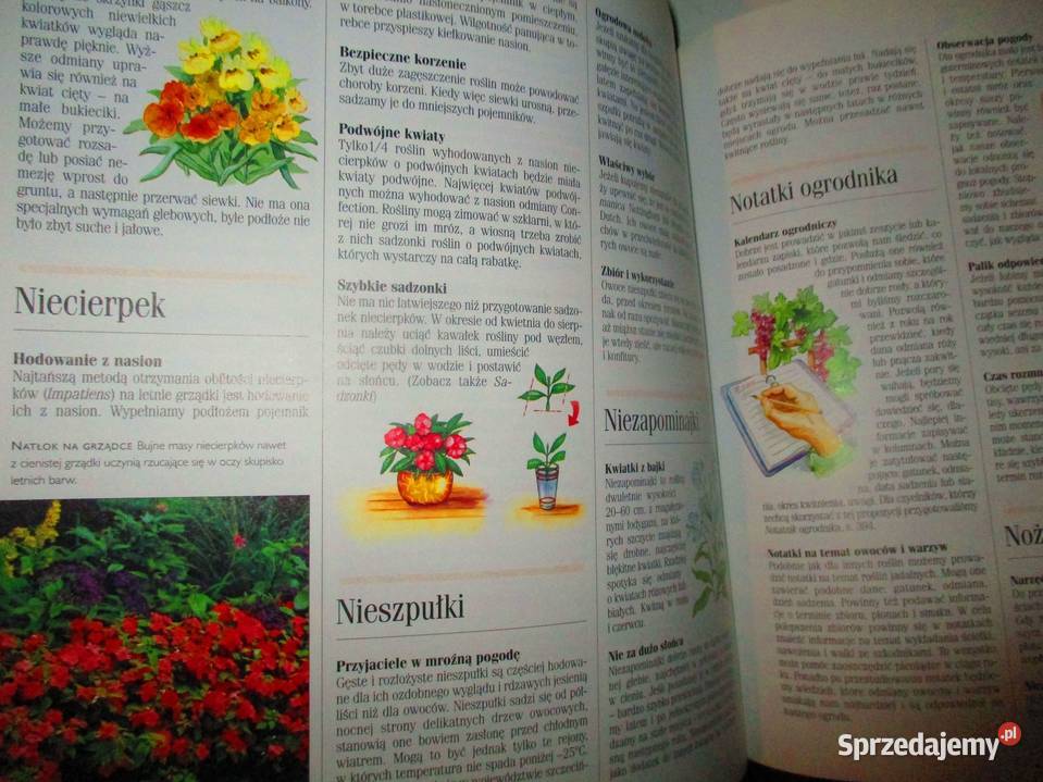 1001 sposobów na piękny ogróduprawa kwiaty dom i ogród