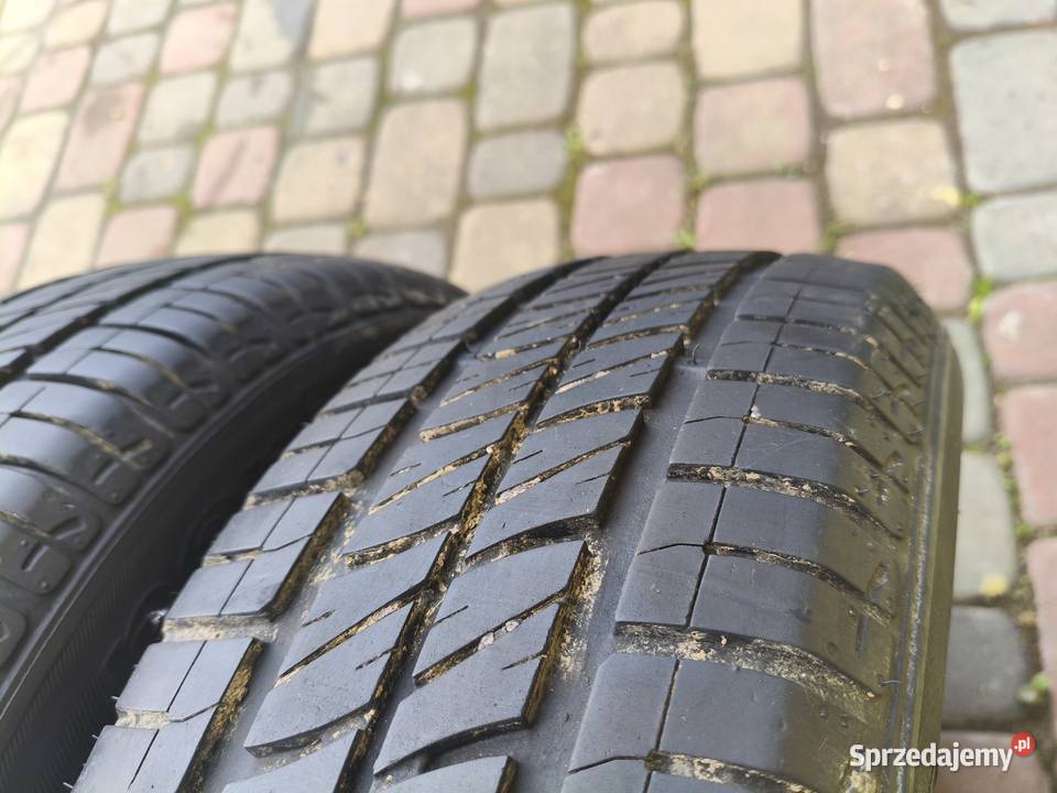 Opony 1756514 R14 SAVA perfecta Całoroczne 65 sprzedam