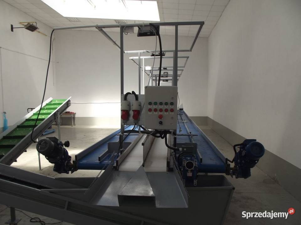 Obieraczka cebuli Empro Środa Wielkopolska