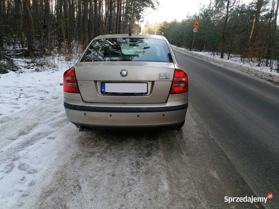Skoda Octavia Salon Polska Konstantynów Łódzki