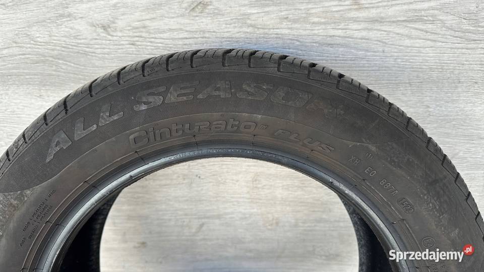 Opona całoroczna Pirelli Cinturato All Season 205 Gorzów Wielkopolski