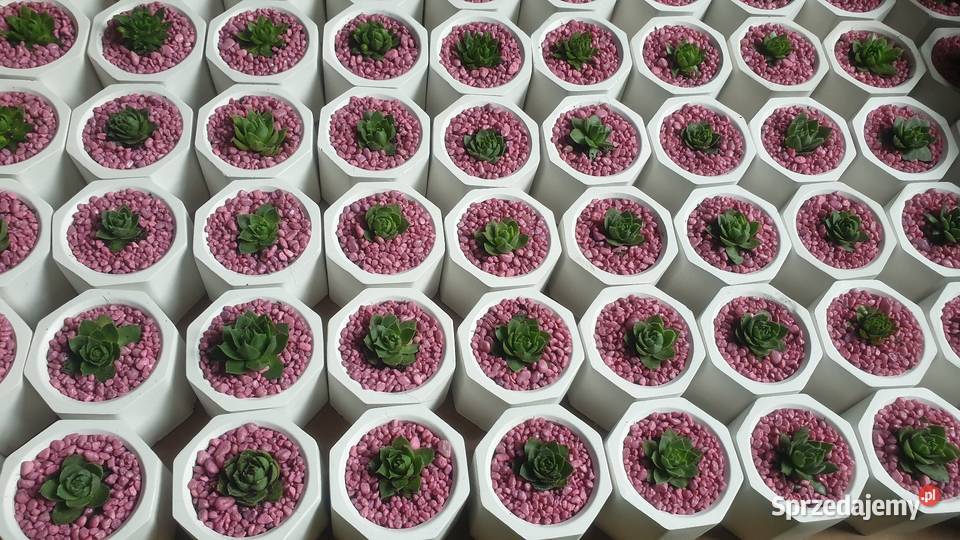 Podziękowania gości Łódź