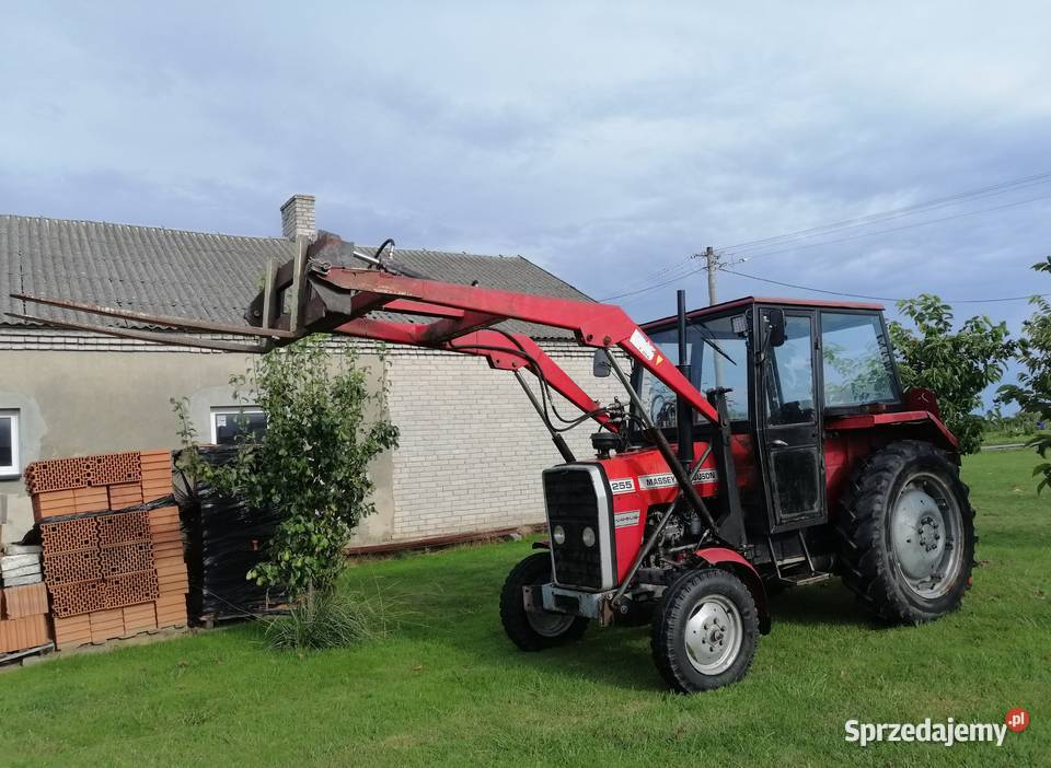 Massey Ferguson 255 z turem Massey Ferguson Bogoria