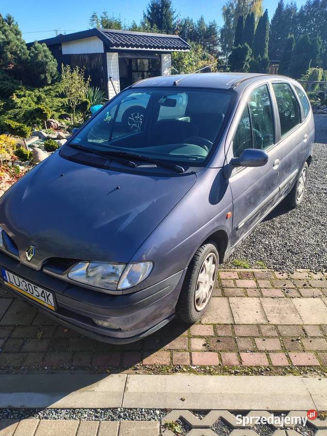 Renault scenic Nałęczów