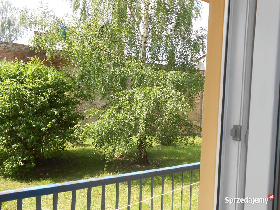 Radom 3 pokoje 56m2 parter winda Struga do piwnica