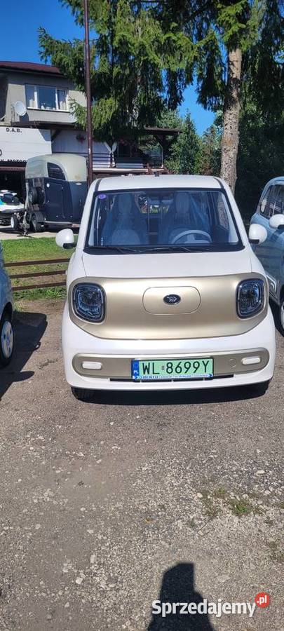 samochdy elektryczne NOWE 90 h prwojazdy kaeg B1 Nowe Osiny sprzedam