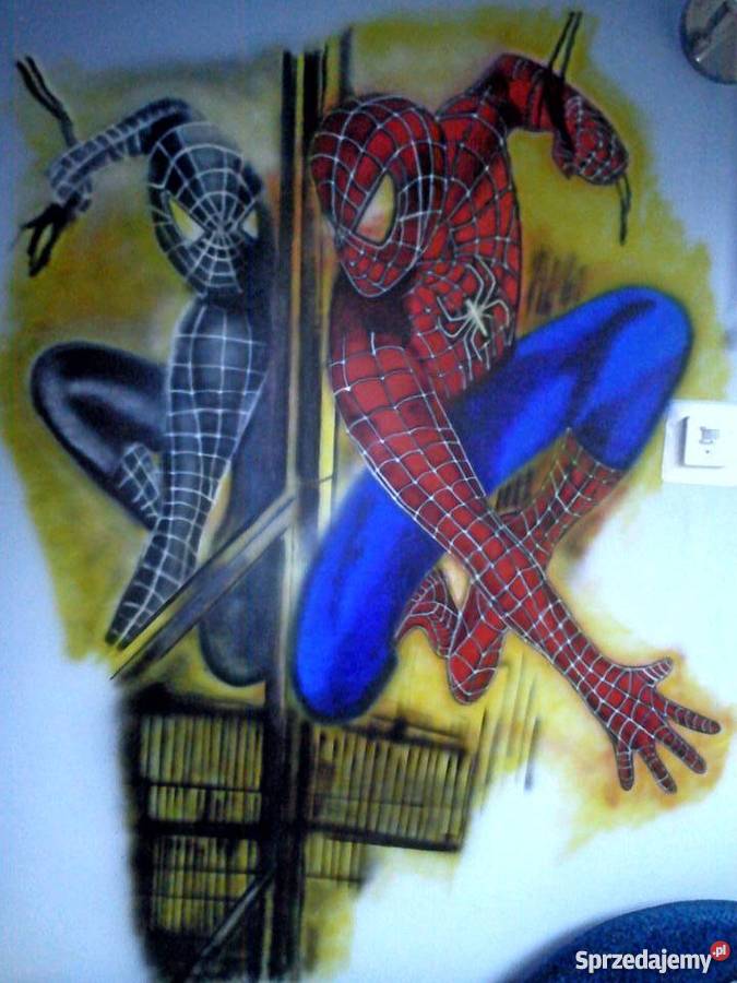 Artystyczne malowanie ścian śląskie Częstochowa