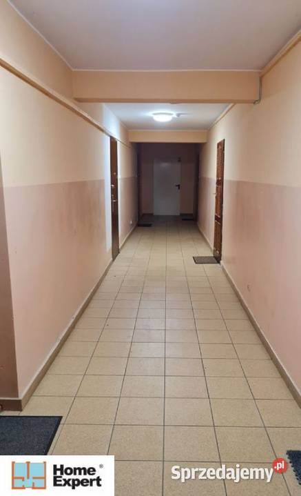 2pok 31met ks Mariana Stanety PIWNICAWINDA Wrocław