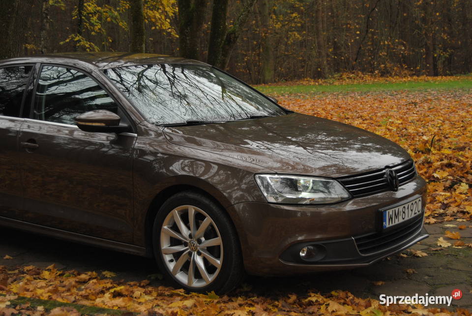 volkswagen jetta Sztum