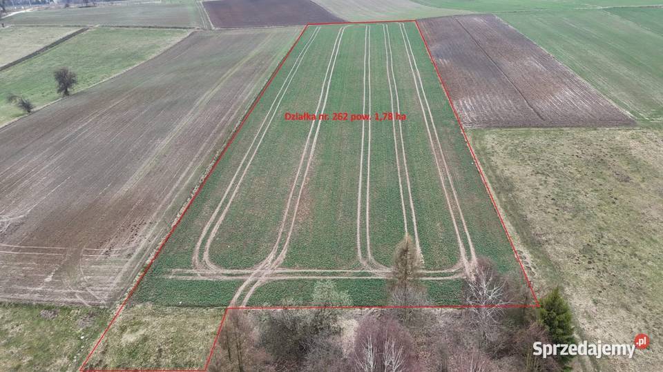 Piękna działkaMinoga Minoga