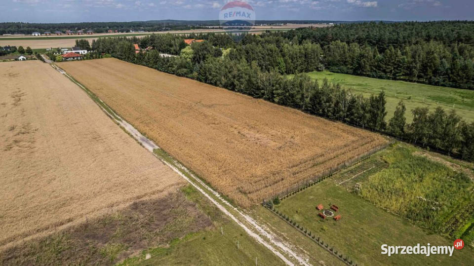 Kicin kPoznania3007 mKapitał rosnący w ciszy