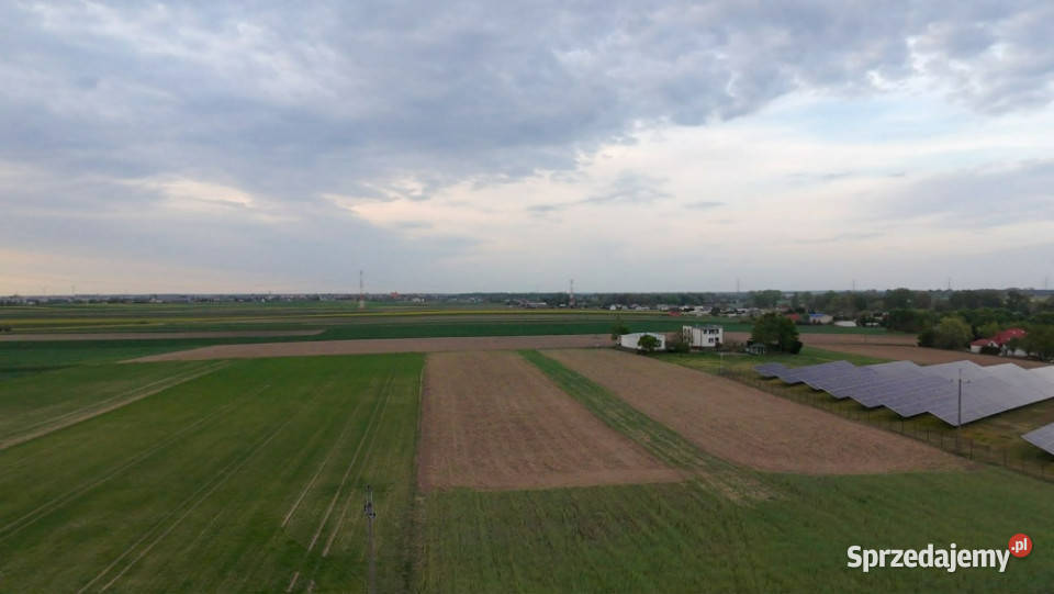 Działki budowlane na sprzedaż Kotunia gm Słupca wielkopolskie