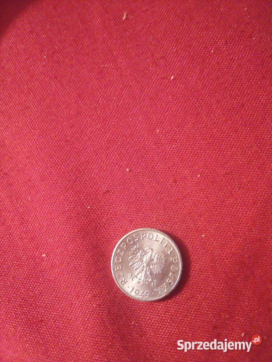 1 grosz 1949 r Warszawa