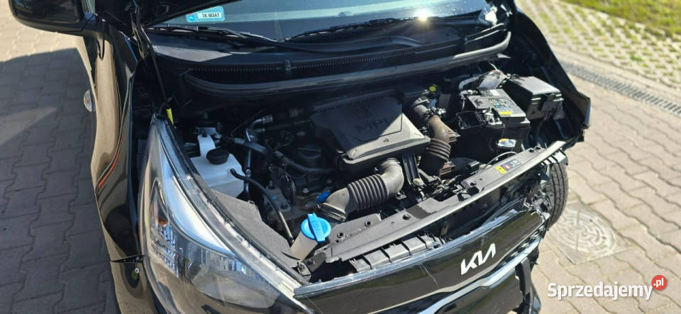 Kia Picanto III 2017 Karczew