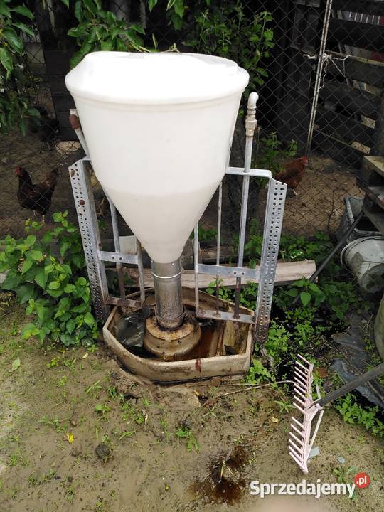 Pasznik karmnik świń Biłgoraj