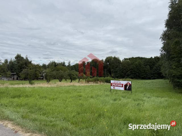 Grunt na sprzedaż 3500m2 Woliczka budowlana