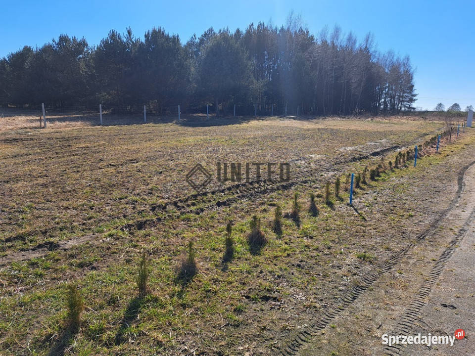 Działki Miłoszyce Małedoki letniskowestaw Miłocice Małe