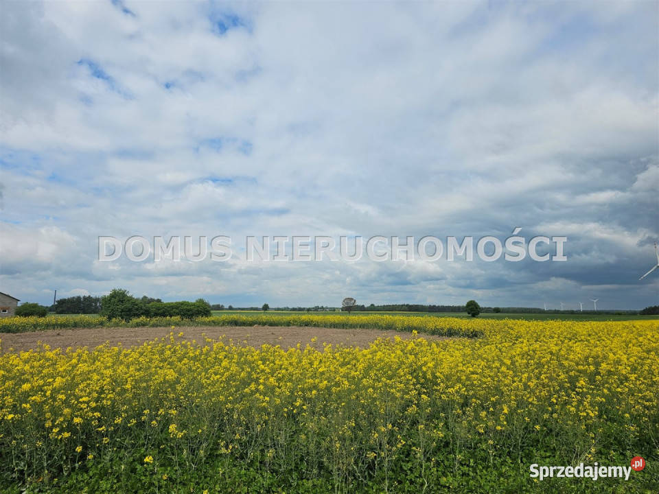 Działka 67765m2 Stefanów gaz sprzedam