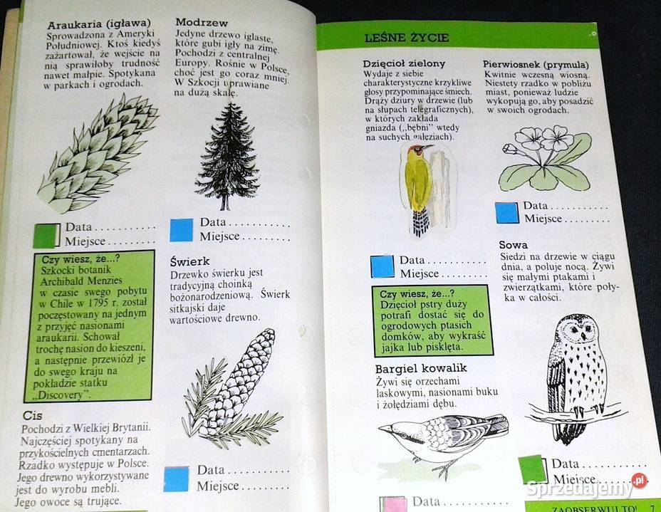 Zaobserwuj to Przewodnik przyrodzie Rosy Border Książki i Podręczniki Chełm