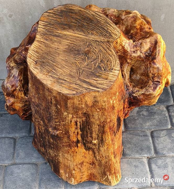 Obrzęk czeczota brzozowa okorowany materiał lubelskie Radzyń Podlaski
