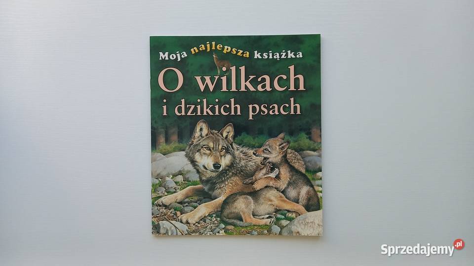 Edukacja przyroda O wilkach i dzikich psach Moja Kraków
