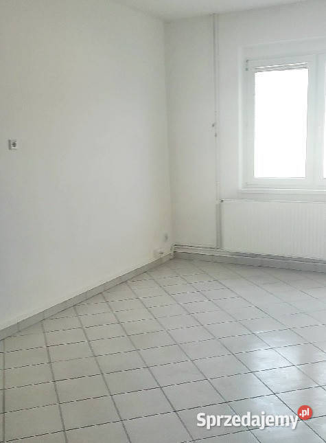 Lokal na wynajem funkcjonalny 110m2 Opole