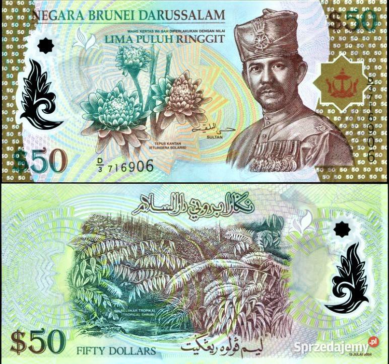 BRUNEI 2004 50P 29a UNCpolimer wysyłka Człuchów sprzedam