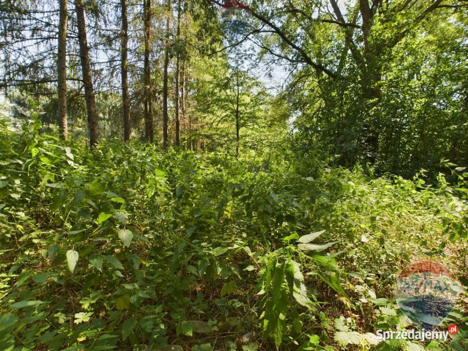 Na sprzedaż działka rekreacyjna Lenarcice asfalt