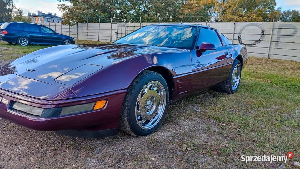 Piekna Coevette Kraczkowa