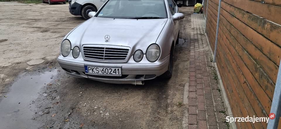 Mercedes clk w208 wielkopolskie Kościan
