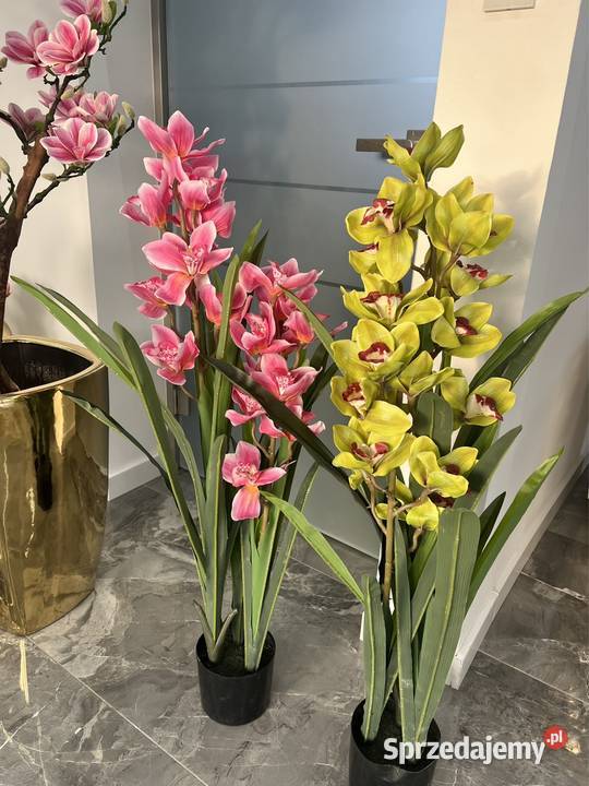 Storczyk sztuczny Cymbidium w doniczce 105 Sztuczne kwiaty i owoce małopolskie Golkowice