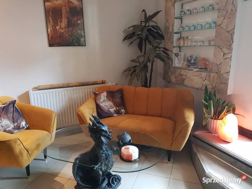 Sprzedam Grotę Solną Wierzbakiem 31 Poanań sprzedam