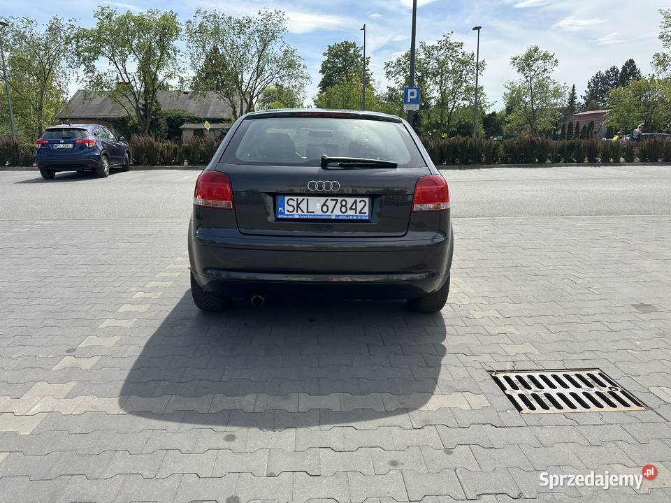 Audi A3 8P 16 MPI 102 2008r Bezwypadkowy Bez A3 Piaseczno