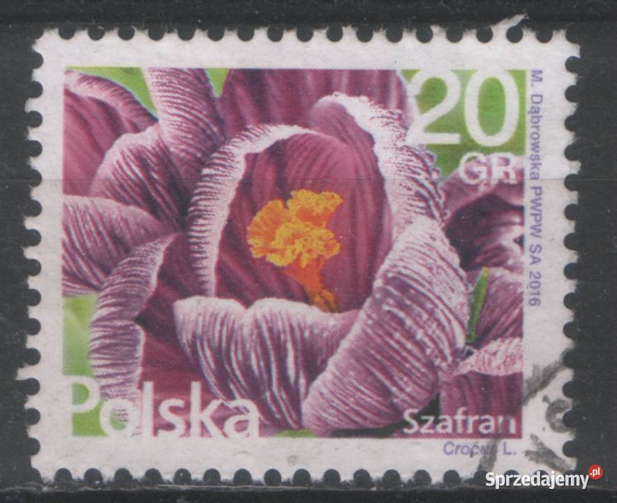 Zn Fi 4666 71 97 723 kas 2016 Gliwice