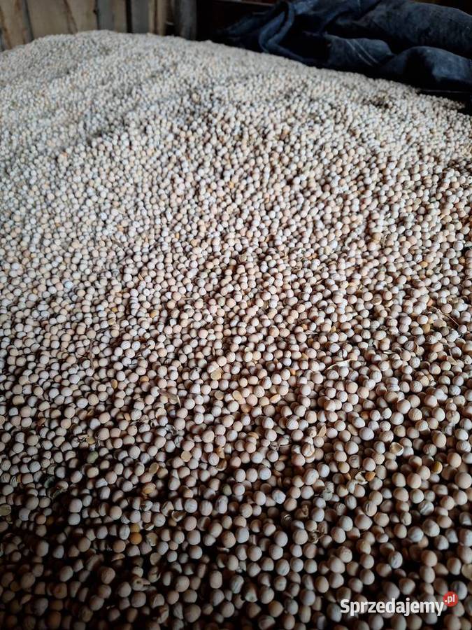 Groch Żółkiewka-Osada