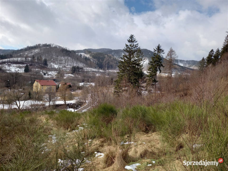 sprzedaży działki JedlinaZdrój Jedlina-Zdrój