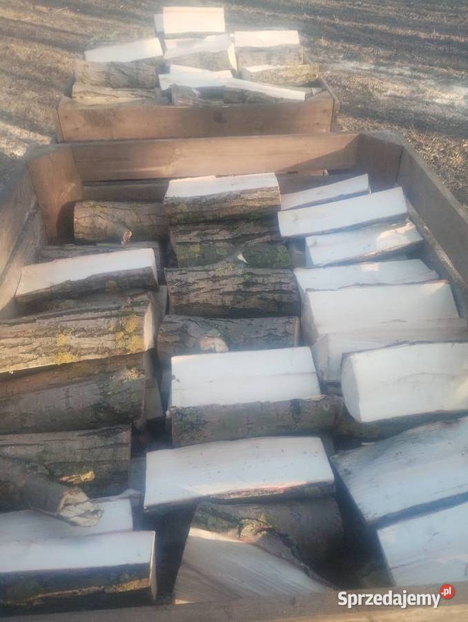 Sprzedam drewno opalowe Przeworsk