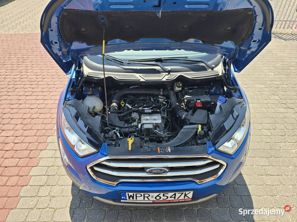 Ford EcoSport TITANIUM 10 EcoBoost 125 Salon Włocławek