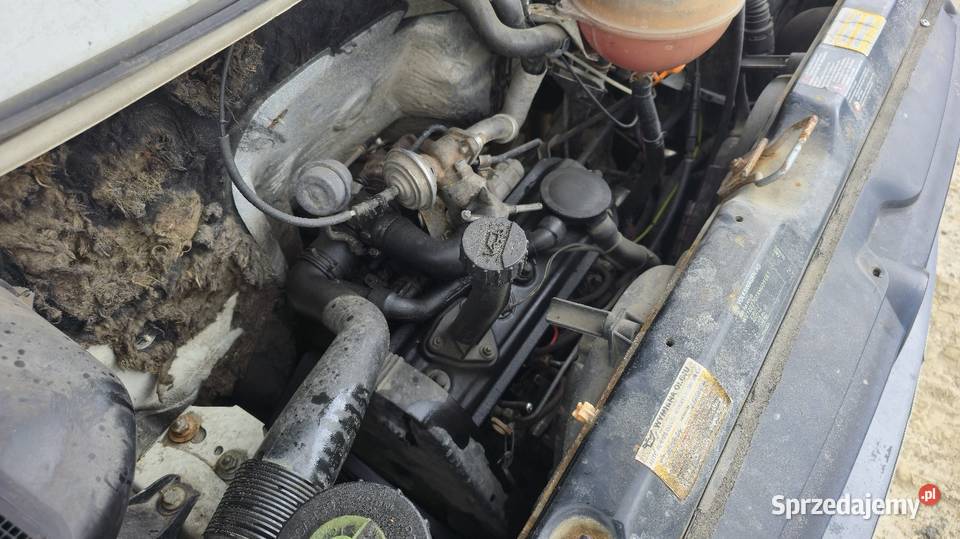 Silnik 19 TD ABL 68 VW T4 T3 Kompletny Stan Silniki kompletne