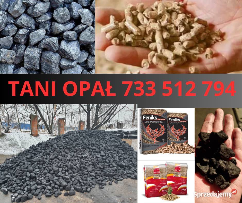 Tani węgiel różne rodzaje kilka kopalń Bojszowy Nowe