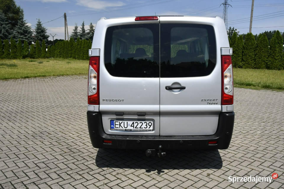Peugeot Expert 20hdi DUDKI11 9 elektryczne lusterka Kutno sprzedam