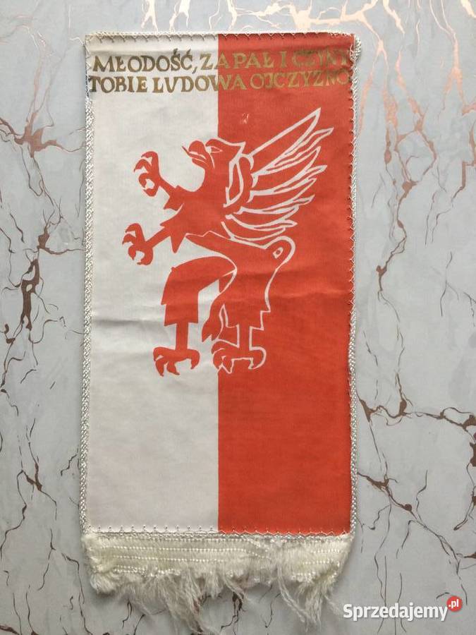 1259 Proporczyki 6 Szczecin