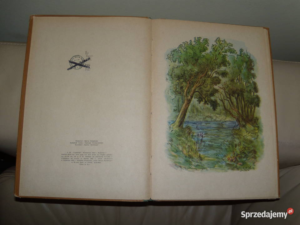 bóbr ukradkiem wędrował z niedźwiadkiem mazowieckie Warszawa