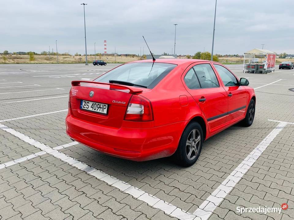 Wypożyczalnia aut oferuje wynajem skoda octavia Szczecin