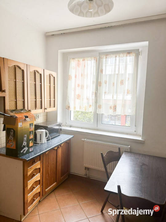 Kawalerka w ścislym Centrum Opola sieć